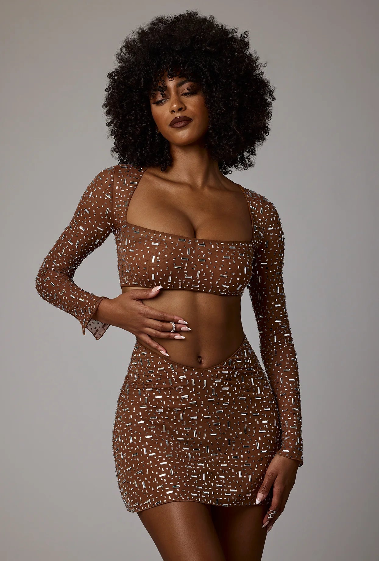 Sheer Embellished Long Sleeve Crop Top in Mocha