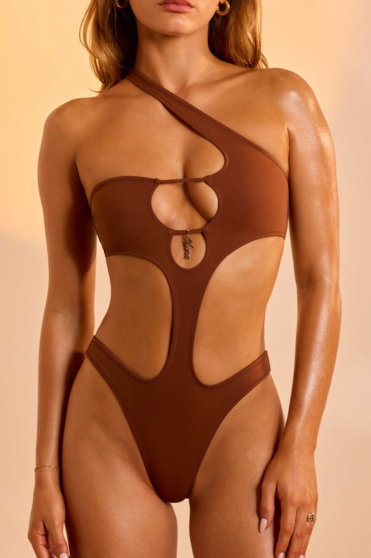 One-Piece Swimsuit in Brown