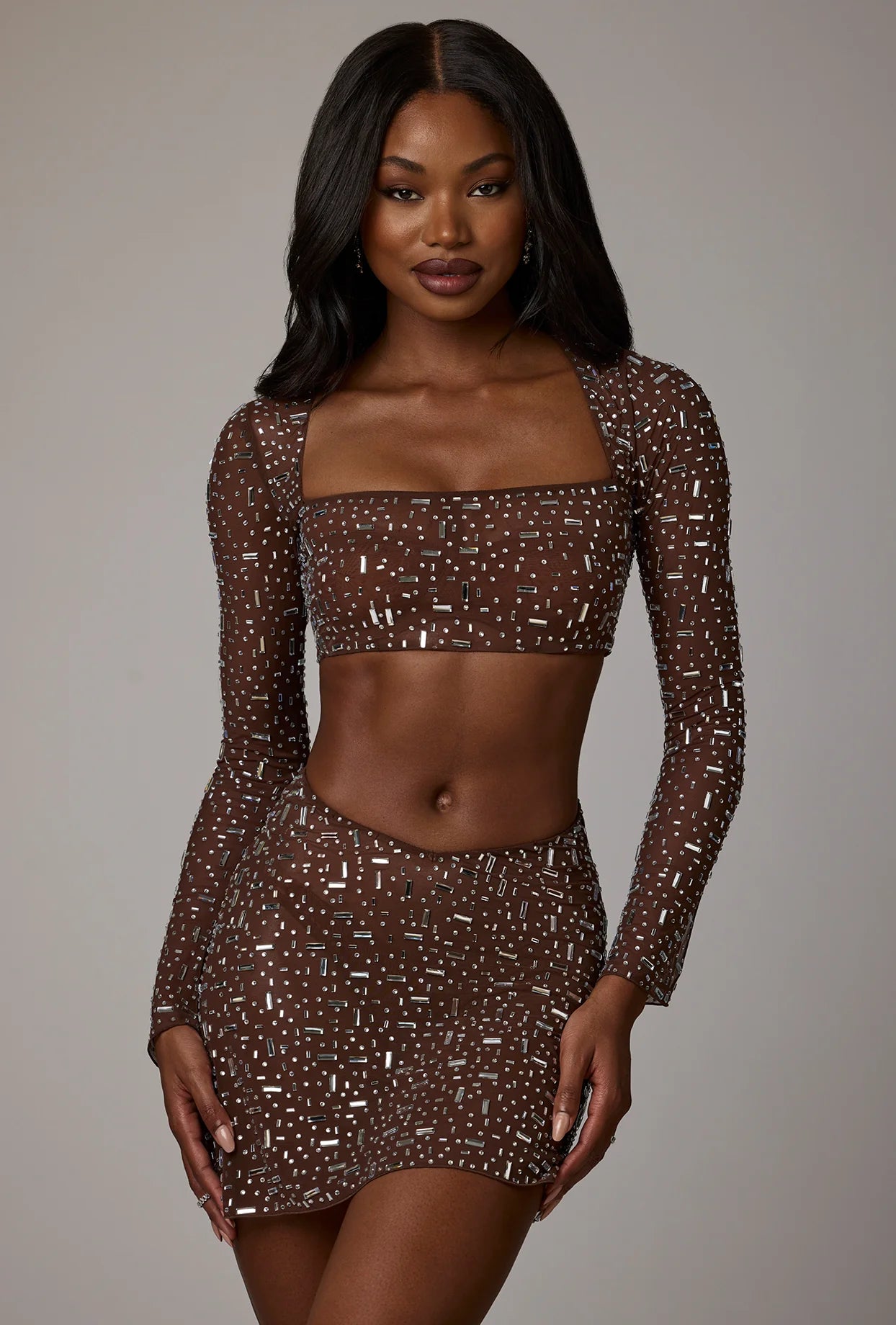 Sheer Embellished Long Sleeve Crop Top in Deep Cocoa